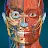 Anatomy Learning - 3D Anatomy